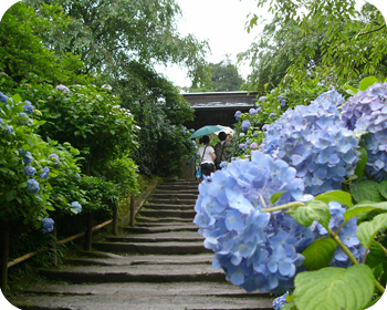 kamakura04_02.jpg
